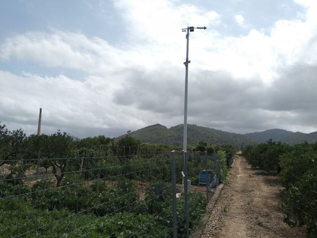 CÁMARAS DE VIGILANCIA PARA EL HUERTO