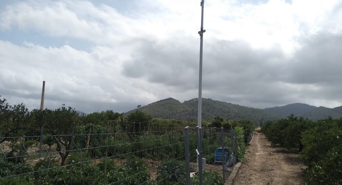 CÁMARAS DE VIGILANCIA PARA EL HUERTO 3